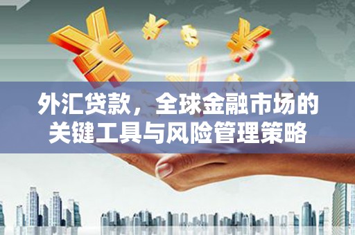 土默特左旗外汇贷款，全球金融市场的关键工具与风险管理策略
