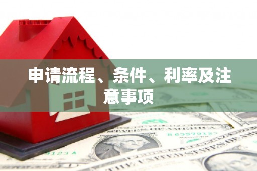土默特左旗申请流程、条件、利率及注意事项