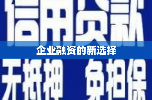 土默特左旗企业融资的新选择