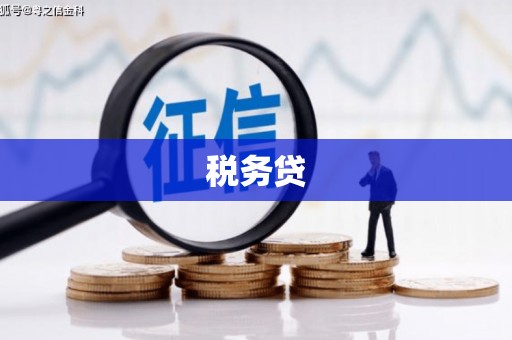 土默特左旗税务贷