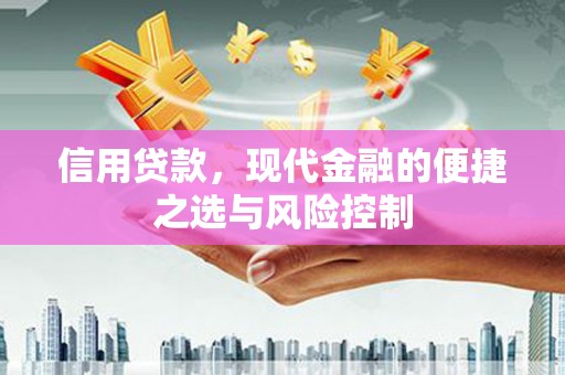 土默特左旗信用贷款，现代金融的便捷之选与风险控制
