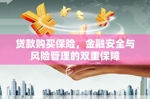 土默特左旗贷款购买保险，金融安全与风险管理的双重保障