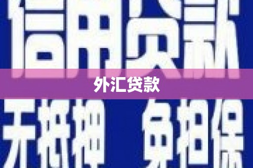 土默特左旗外汇贷款