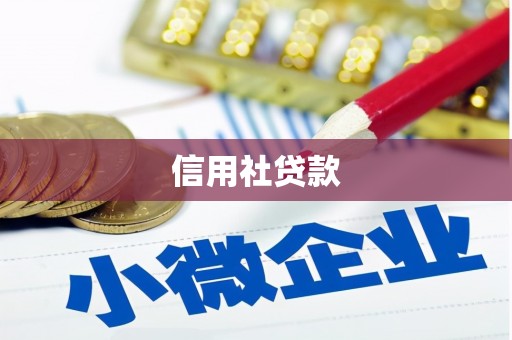 土默特左旗信用社贷款