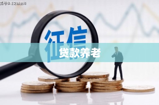 土默特左旗贷款养老