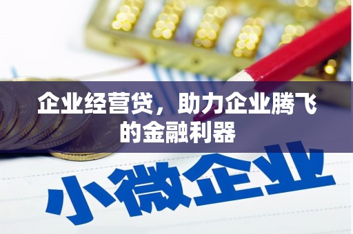 土默特左旗企业经营贷，助力企业腾飞的金融利器