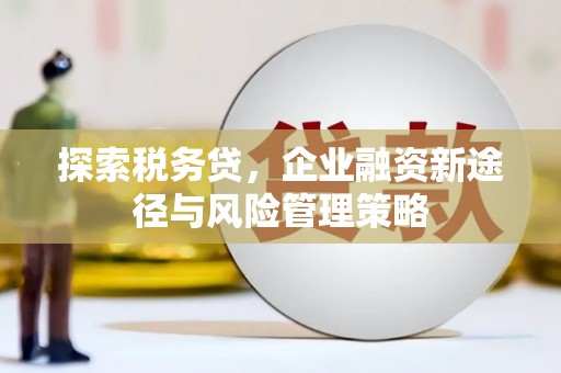 土默特左旗探索税务贷，企业融资新途径与风险管理策略