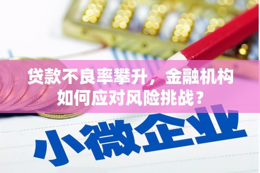 土默特左旗贷款不良率攀升，金融机构如何应对风险挑战？