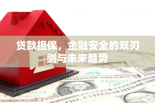 土默特左旗贷款担保，金融安全的双刃剑与未来趋势