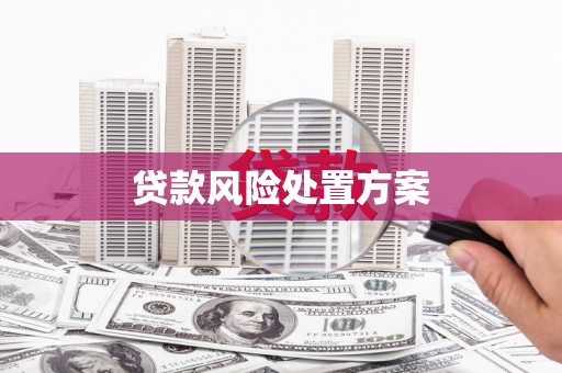 土默特左旗贷款风险处置方案