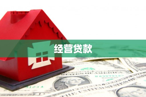 土默特左旗经营贷款
