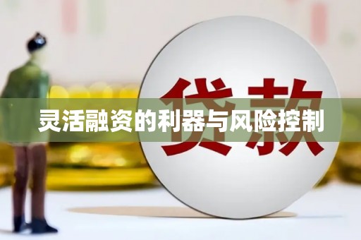 土默特左旗灵活融资的利器与风险控制