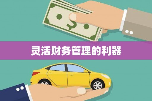 土默特左旗灵活财务管理的利器