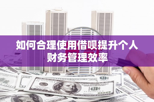 土默特左旗如何合理使用借呗提升个人财务管理效率