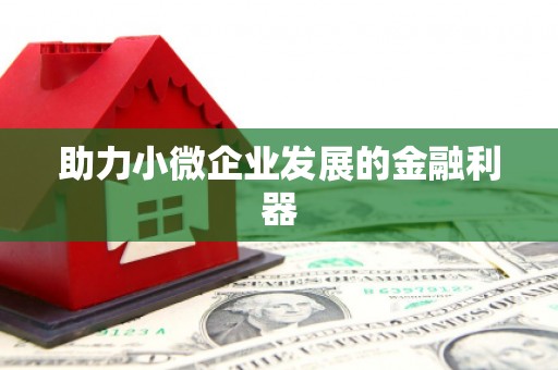 土默特左旗助力小微企业发展的金融利器