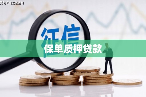 土默特左旗保单质押贷款