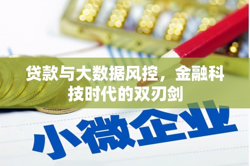土默特左旗贷款与大数据风控，金融科技时代的双刃剑