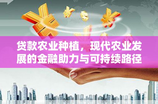 土默特左旗贷款农业种植，现代农业发展的金融助力与可持续路径
