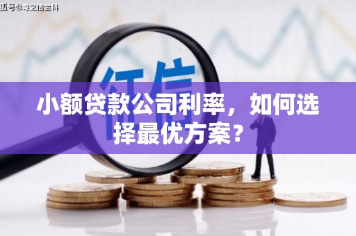 土默特左旗小额贷款公司利率，如何选择最优方案？