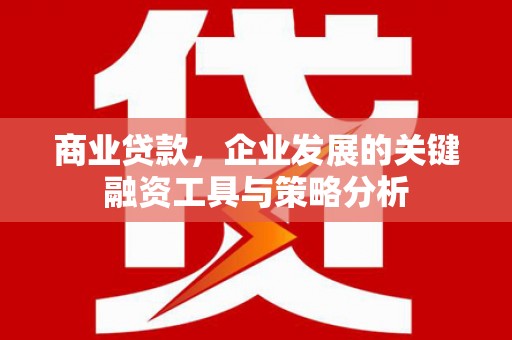 土默特左旗商业贷款，企业发展的关键融资工具与策略分析