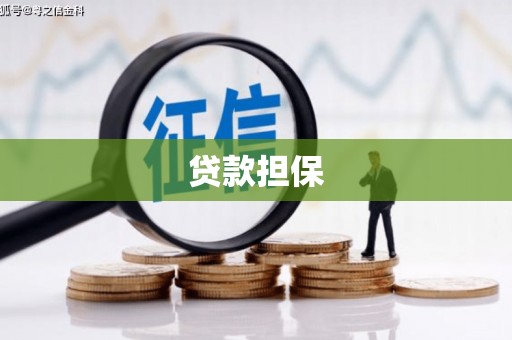 土默特左旗贷款担保