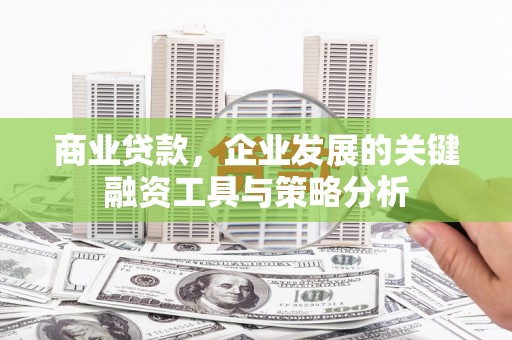 土默特左旗商业贷款，企业发展的关键融资工具与策略分析