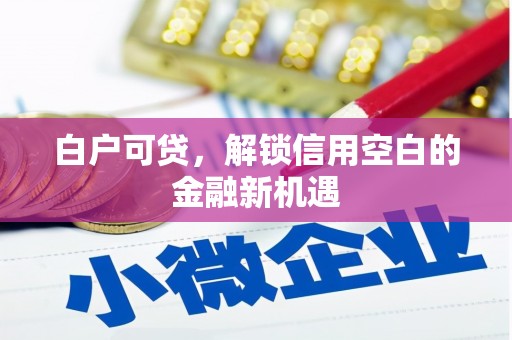 土默特左旗白户可贷，解锁信用空白的金融新机遇