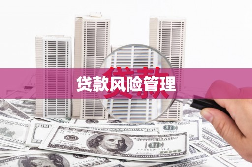 土默特左旗贷款风险管理