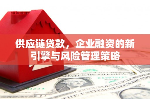 土默特左旗供应链贷款，企业融资的新引擎与风险管理策略