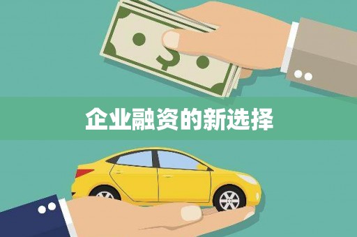 土默特左旗企业融资的新选择