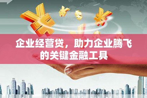 土默特左旗企业经营贷，助力企业腾飞的关键金融工具