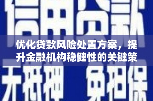 土默特左旗优化贷款风险处置方案，提升金融机构稳健性的关键策略