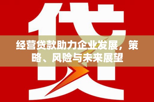 土默特左旗经营贷款助力企业发展，策略、风险与未来展望