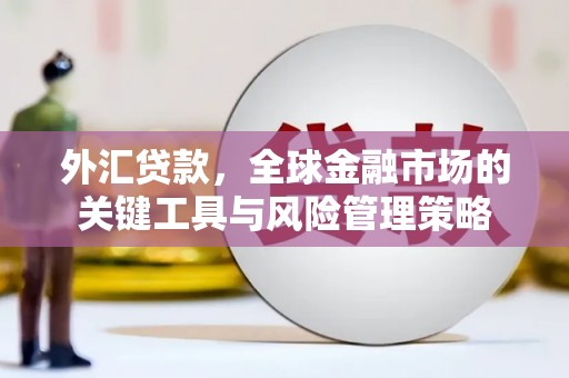 土默特左旗外汇贷款，全球金融市场的关键工具与风险管理策略