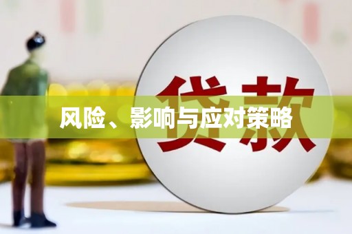 土默特左旗风险、影响与应对策略
