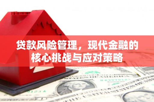 土默特左旗贷款风险管理，现代金融的核心挑战与应对策略
