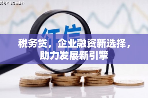 土默特左旗税务贷，企业融资新选择，助力发展新引擎