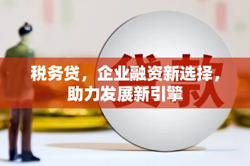 土默特左旗税务贷，企业融资新选择，助力发展新引擎