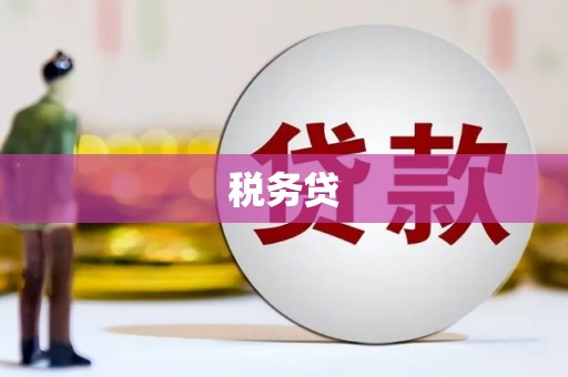 土默特左旗税务贷