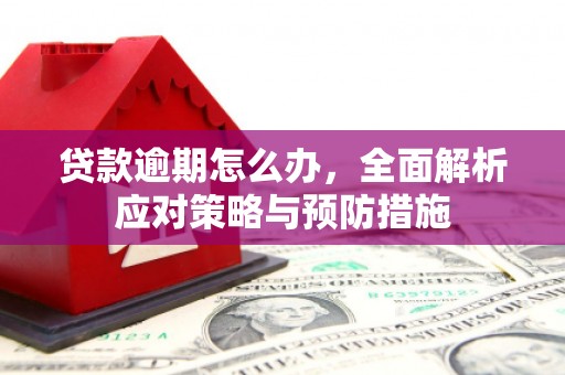 土默特左旗贷款逾期怎么办，全面解析应对策略与预防措施