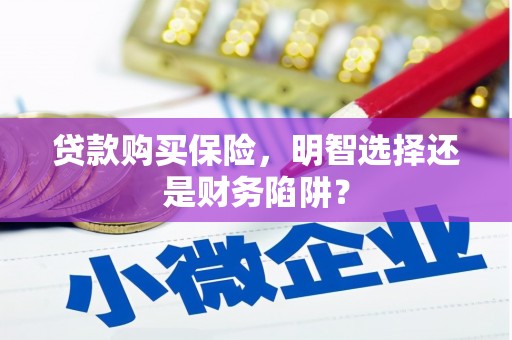 土默特左旗贷款购买保险，明智选择还是财务陷阱？