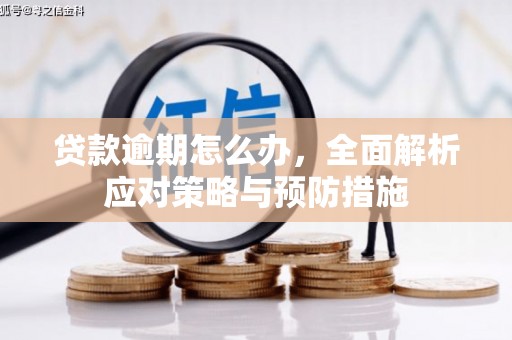 土默特左旗贷款逾期怎么办，全面解析应对策略与预防措施