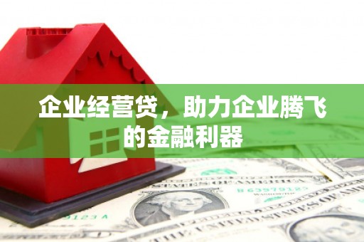土默特左旗企业经营贷，助力企业腾飞的金融利器