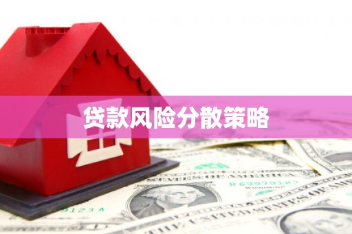 土默特左旗贷款风险分散策略