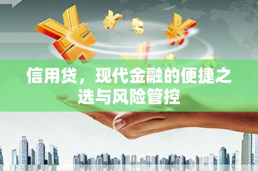 土默特左旗信用贷，现代金融的便捷之选与风险管控