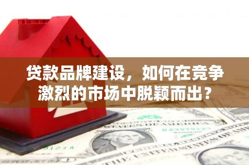 土默特左旗贷款品牌建设，如何在竞争激烈的市场中脱颖而出？