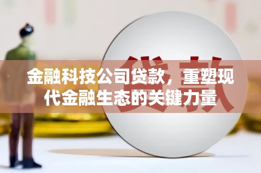 土默特左旗金融科技公司贷款，重塑现代金融生态的关键力量