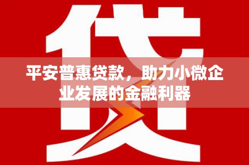 土默特左旗平安普惠贷款，助力小微企业发展的金融利器