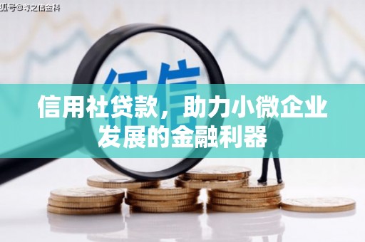 土默特左旗信用社贷款，助力小微企业发展的金融利器