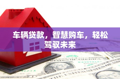 土默特左旗车辆贷款，智慧购车，轻松驾驭未来